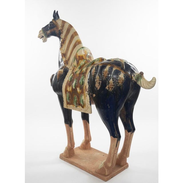 Magnificent 42" Tang Dynasty Style Glazed Caparisoned Horse For Sale - Image 4 of 6