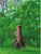 David Hockney Poster (The Arrival of Spring) 12th May 2011 Dimension: 11.7 x 8.3 in | 29.7 x 21 cm Accompanied by a...