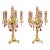 French Crystal Candelabra Lamp – Gold Leaf & Bronze Table Lighting With Hanging Crystals For Sale