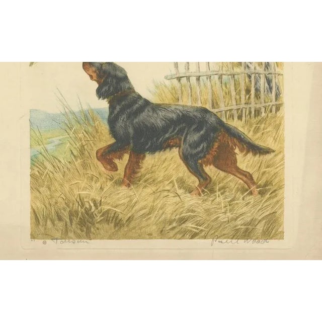 Paul Wood, Setter and Pheasant, 1930s, Lithograph on Paper For Sale - Image 3 of 9