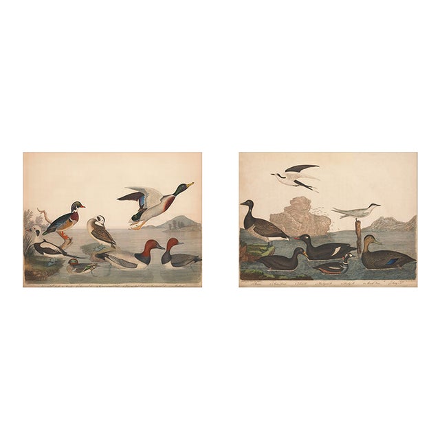 Vintage Bird Duck Print Set of 2 For Sale