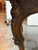 French Louis XV Extension Dining Table, Mid 20th Century For Sale - Image 10 of 12