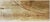 Late 20th Century Late 20th Century Wild Heartbeat, Robert K. White For Sale - Image 5 of 7