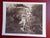 Jock Sturges, Alisa and Christina, 1991, Digital Print For Sale - Image 5 of 6