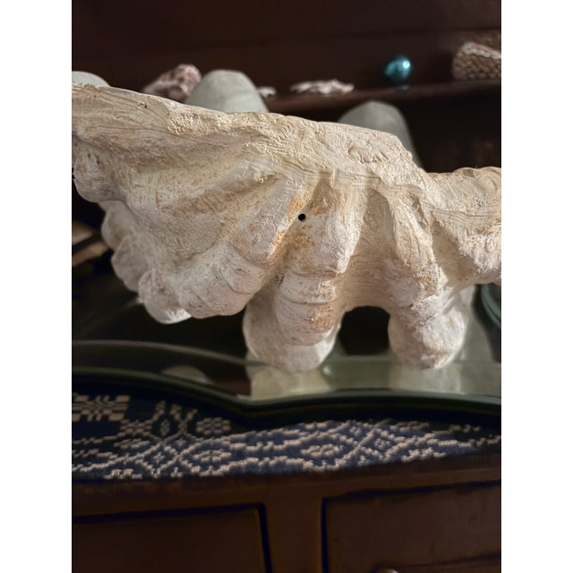 1990s Faux Plaster Decorative Clam Shell For Sale - Image 5 of 12