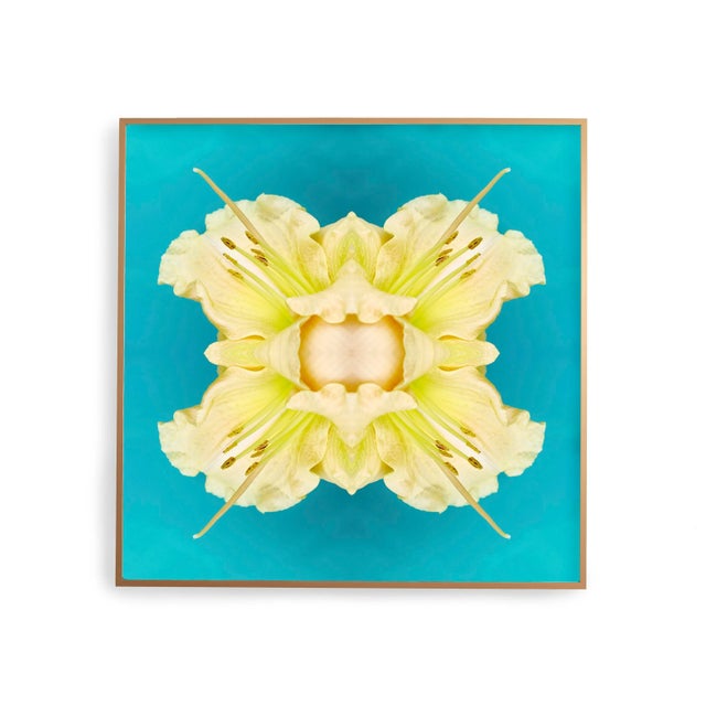 Modern "No. 124" Contemporary Original Op Art Botanical Limited Edition Print by Erin Derby For Sale - Image 3 of 5