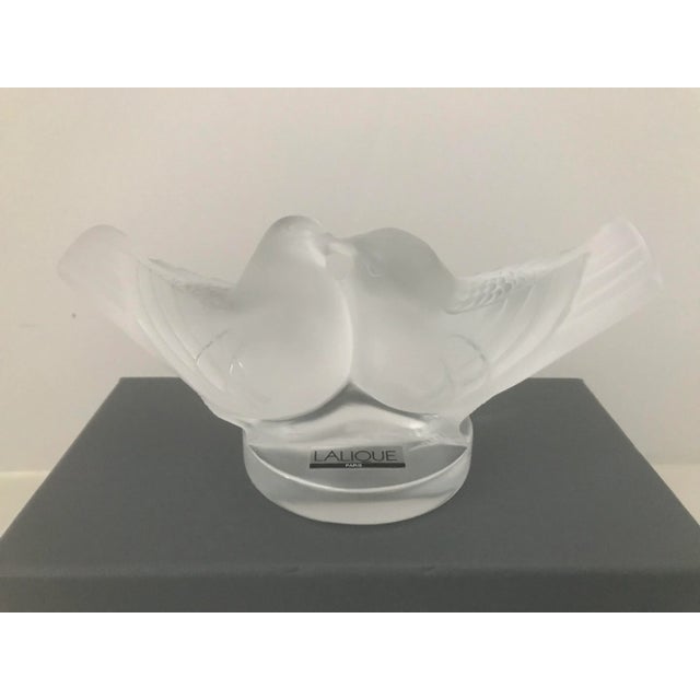 Transparent LaLique Society of America 1993 Crystal Love Birds New in Box For Sale - Image 8 of 13