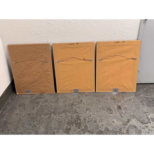 Crate & Barrel Botanical Study Prints, Set of Three For Sale - Image 10 of 12