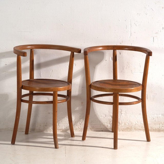 Bentwood Chairs in the style of Thonet, Hungary, 1960, Set of 2 For Sale - Image 13 of 13