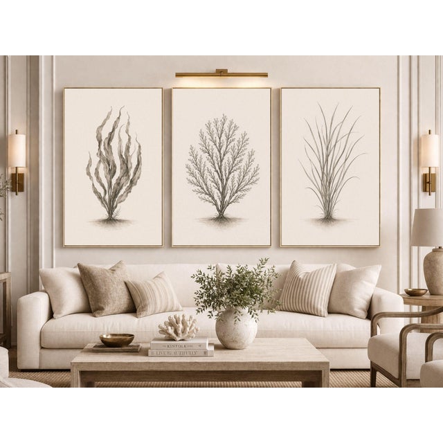 A thoughtfully curated coastal botanical triptych featuring flowing seaweed, a structured coral study, and an airy sea...