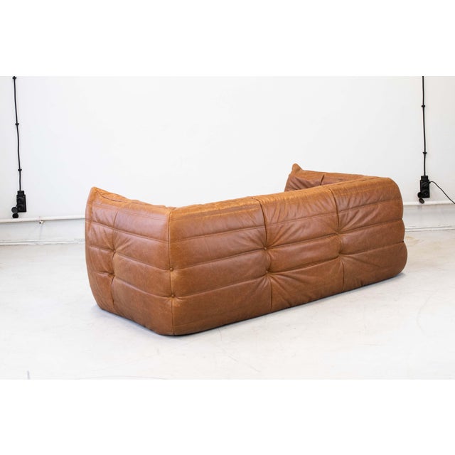 Animal Skin Vintage Two-Seater Togo Sofa with Arms in Brown Pine Leather attributed to Michel Ducaroy for Ligne Roset, 1970s For Sale - Image 7 of 16