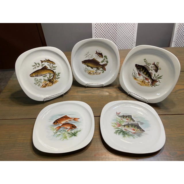 1940s-50s French Limoges Fish Plates - Set of Five For Sale - Image 16 of 17