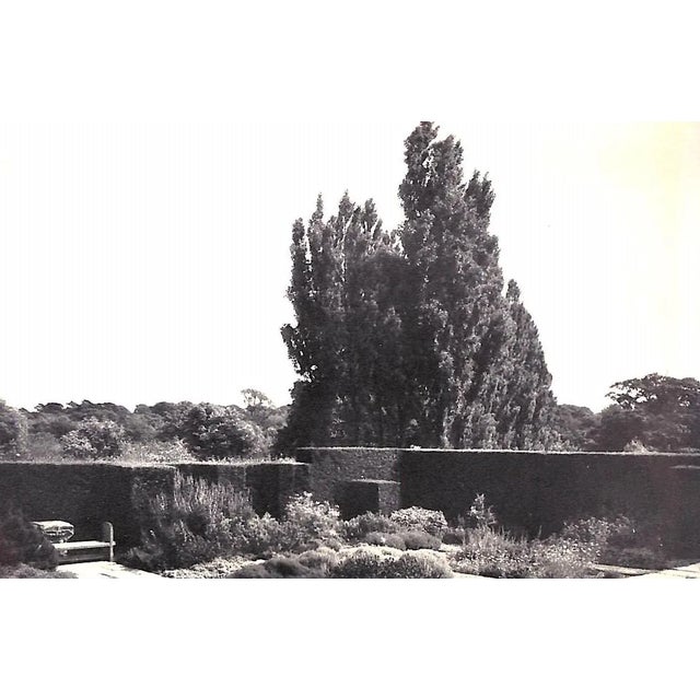 1950s "In Your Garden Again" 1953 Sackville-West, V. For Sale - Image 5 of 8