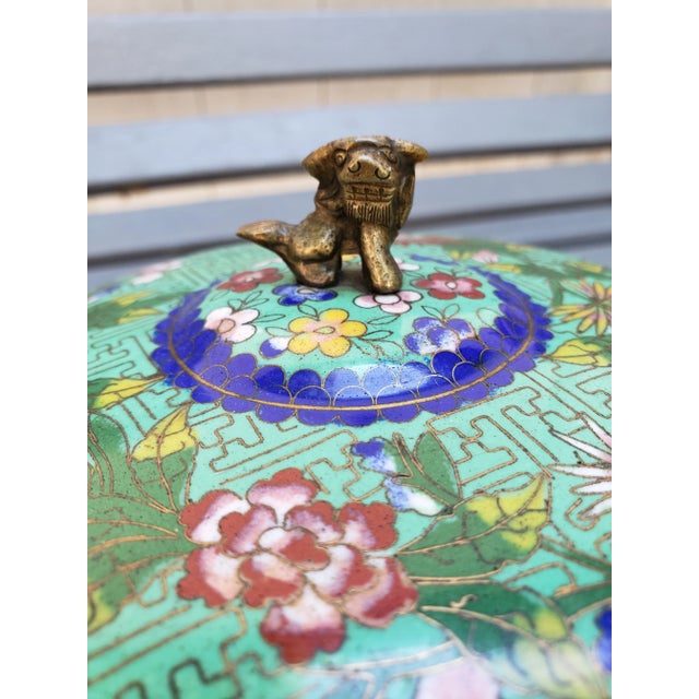 Early 20th Century Antique Chinese Cloisonne Jade Green Box W/Lid "China" Foo Dog Finial For Sale - Image 4 of 8