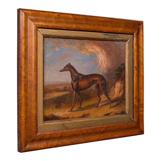 Small Antique Greyhound Painting, Oil on Board, Maple Frame, Dog Art, Victorian For Sale