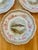1900 - 1909 Antique O & E Gutherz Royal Austria Hand Painted Fish Dinnerware Circa 1899-1918 - A Set of 10 Pieces For Sale - Image 5 of 18