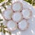 Magnificent and rare set of six antique porcelain plates dating from 1890, stamped by the carl tielsch & co. Factory in...