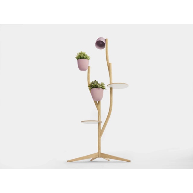 Wood Deluxe Branch-Out Set from Studio Lorier For Sale - Image 7 of 9