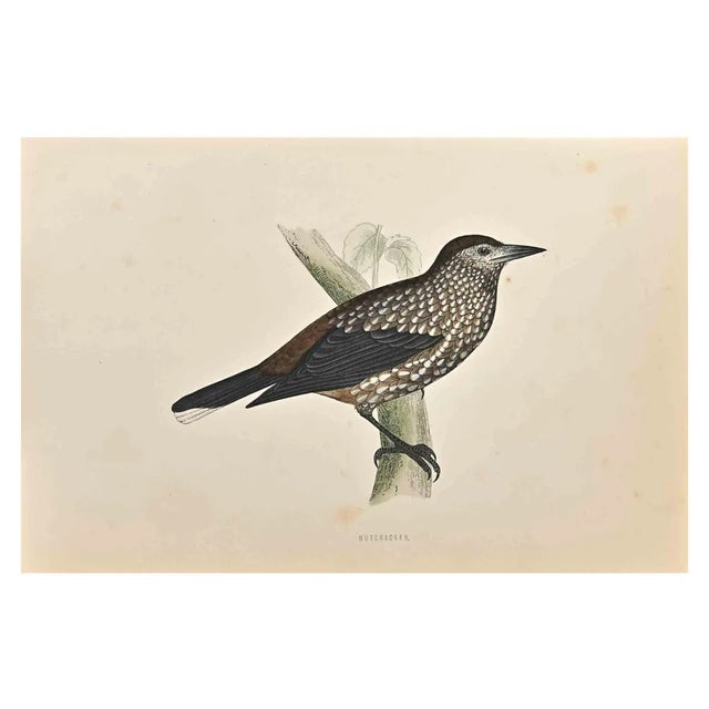 Alexander Francis Lydon, Nutcracker, Woodcut Print, 1870 For Sale