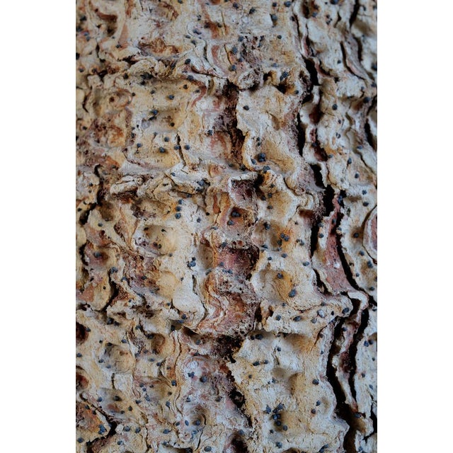 Large Amphora by Claudi Casanovas, Spain, 1995 For Sale - Image 3 of 13