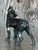 Mid 20th Century Vintage Boho Patinated Wrought Iron Dog For Sale - Image 5 of 5