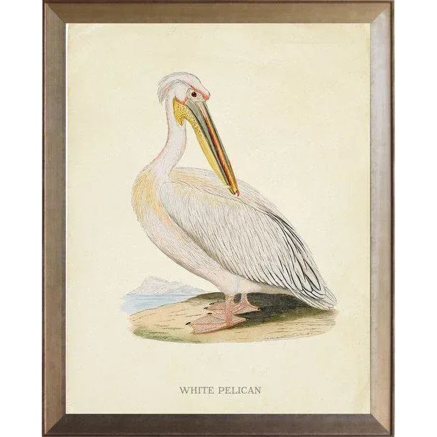 White Pelican in Distressed Metallic Frame 17x21