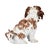 Meissen Porcelain Lapdog Figuirine For Sale - Image 4 of 8