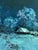 Ink Blue Oil Painting Winter Night Serdyuk Boris Petrovich For Sale - Image 8 of 11