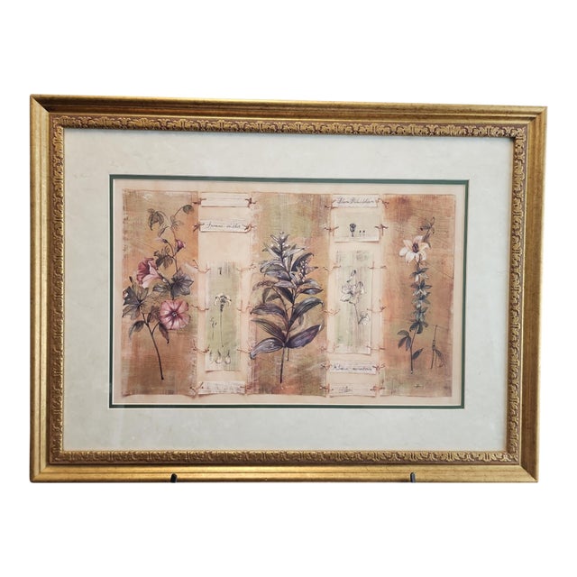 Paul Hargitai "Hibiscus" Vintage Print For Sale