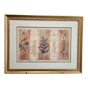 Paul Hargitai "Hibiscus" Vintage Print