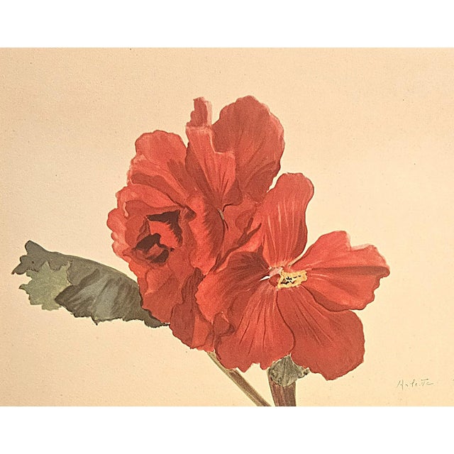 This is a set of 2 French Mid-Century botanical prints that were illustrated by Arlette Davids. Davids was a French...
