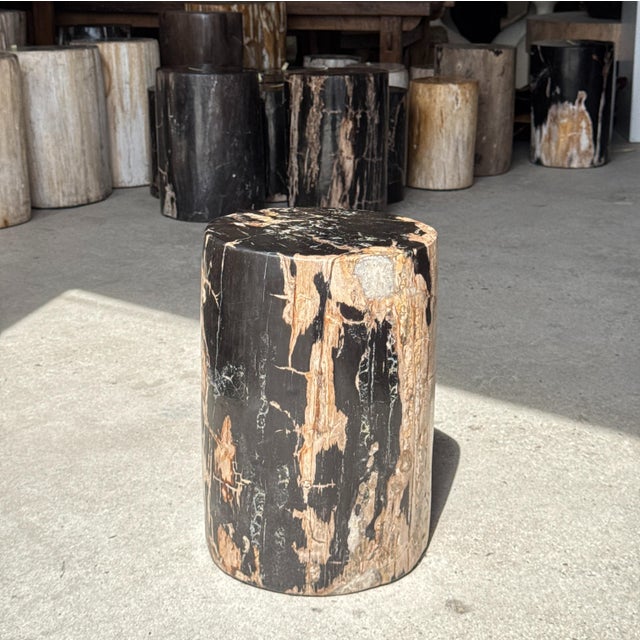 Side Table in Black Petrified Wood with Beige Sides, 1980s For Sale - Image 12 of 18