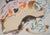 Alain BONNEFOIT (1937) Naked to the Wild Bottom, 1993 Original color lithograph Signed in pencil On Arches vellum 36 x 54...