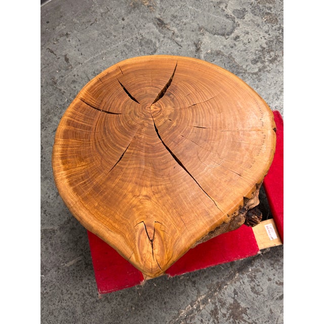 Organic Modern Live Edge Tree Side Table/ Stool For Sale - Image 12 of 12