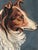 1910s Antique Original Dog Oil Painting, 19th Century Dog Portrait For Sale - Image 5 of 11