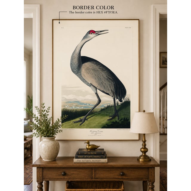 Whooping Crane, vintage ornithological artwork reproduced from Birds of America by John James Audubon and refined for...
