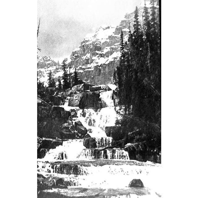 "Search for Form" 1950 Saarinen, Eliel For Sale In New York - Image 6 of 6