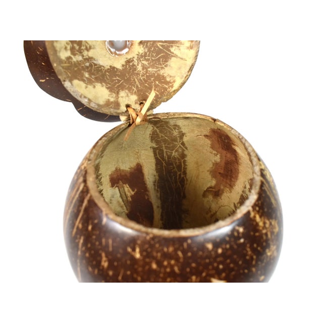Vintage Handmade Natural Coconut Shell Lidded Box Display on Wooden Base For Sale - Image 11 of 13