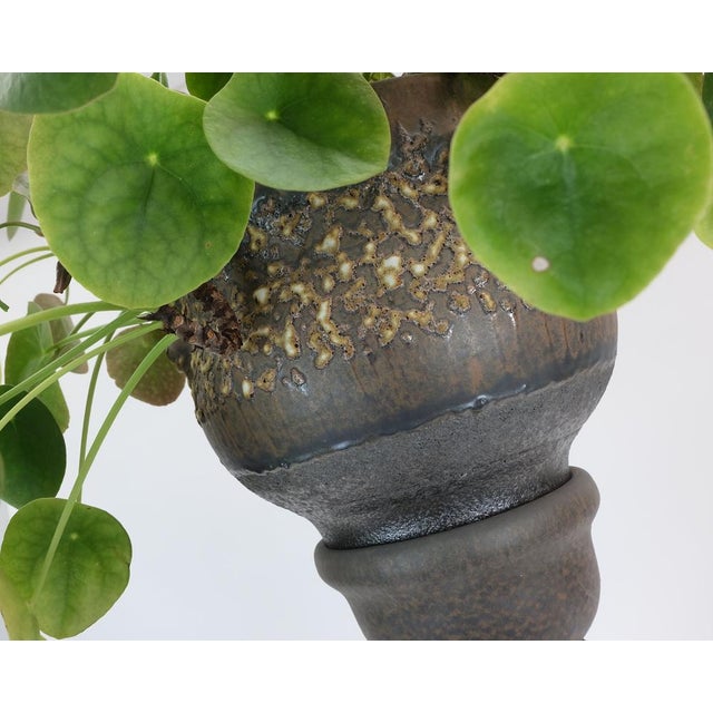 Mid-Century Modern Large Vintage Plant Stand from Jopeko, 1970s, Set of 2 For Sale - Image 3 of 11