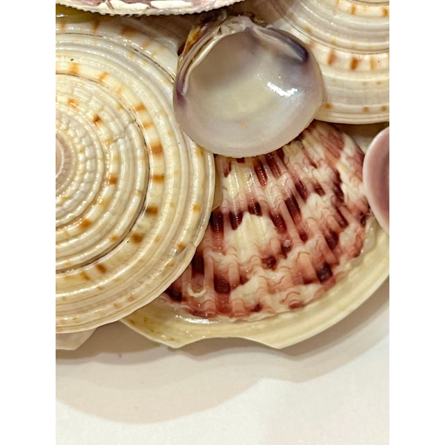 Mid 20th Century Vintage Coastal Oval Shell Encrusted Mirror For Sale - Image 5 of 14