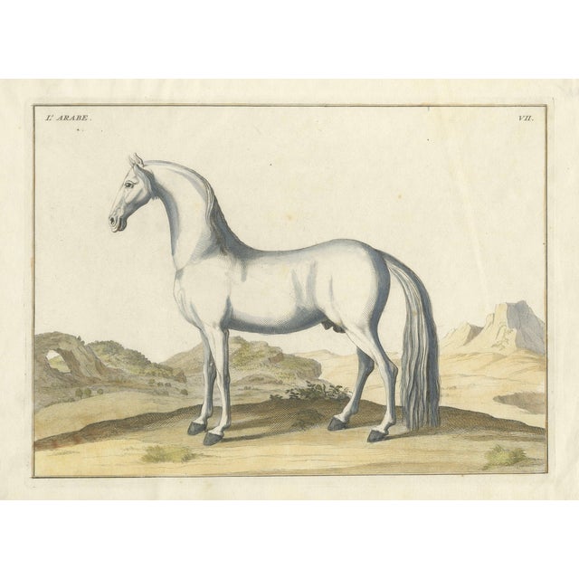 Baron Eisenberg, L'Arabe, 1727, Engraving For Sale