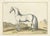 Baron Eisenberg, L'Arabe, 1727, Engraving For Sale