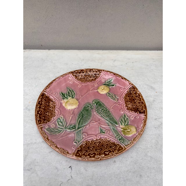 Majolica plate with two parakeets on a very rare pink background with oranges of Salins, circa 1890.