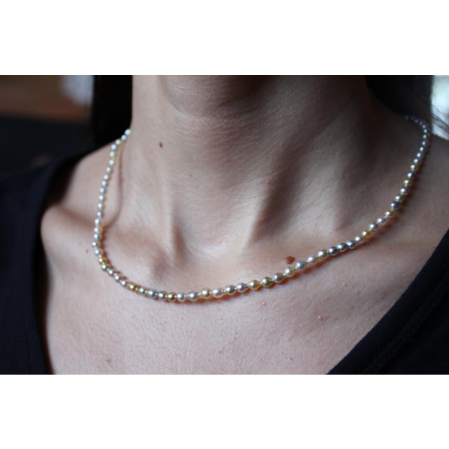14 Karat Yellow Gold Multicolor Akoya Cultured Pearl Layer Thin Bead Necklace For Sale - Image 9 of 18