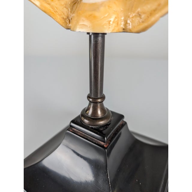 Faux Tortoiseshell Resin Turtle Shell Lamp from Maison Jansen, 1970s For Sale - Image 14 of 16
