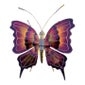 Shop Gallery Girasole