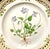 Mid 20th Century Royal Copenhagen Flora Danica 9" Plate, Viola Canina L, Gilt Border For Sale - Image 5 of 9