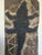 Todd Narbey, Le crocrodile, 2000, Carborundum Engraving For Sale - Image 5 of 5
