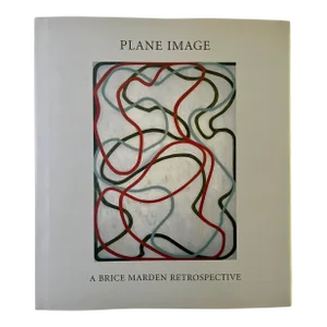 Plane Image: A Brice Madden spective, MoMA, 2006