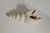 Sculptural Shell Vase in Stoneware by C.H. Brannam, 1965 For Sale - Image 11 of 12